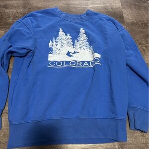 American Eagle Outfitters Blue Sweatshirt